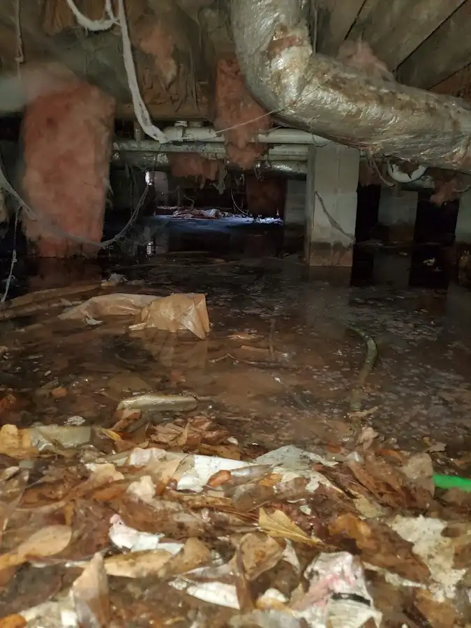 Crawl space flood assessment for Leak Detection & Repair in Lake Dallas