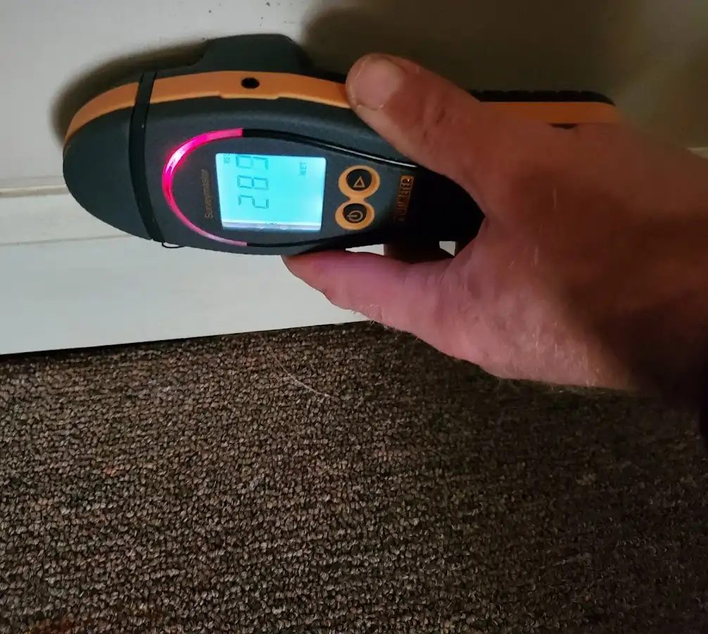 Moisture detection at baseboard during Sewage Cleanup & Sanitation in Lake Dallas